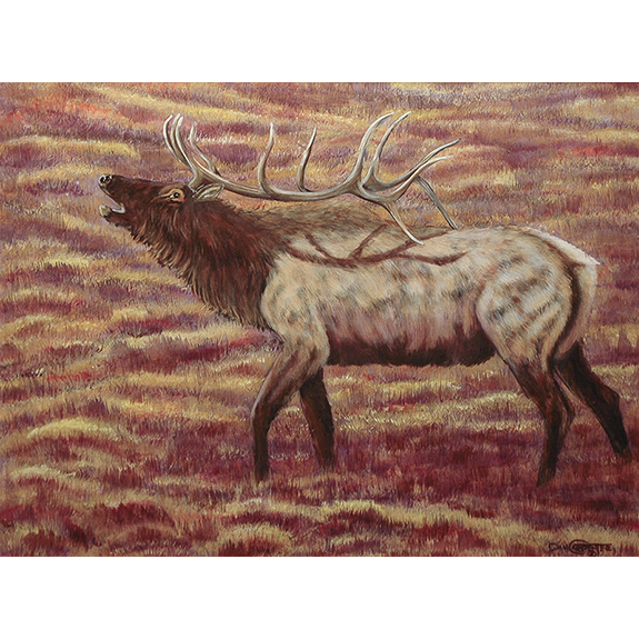 Bull Elk - Original