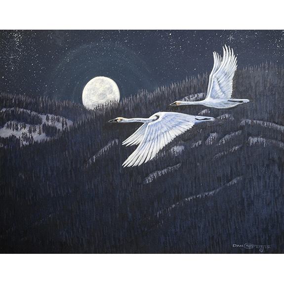 Night Flight Over the Cabinet Mountains - Original