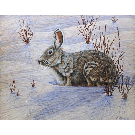 Wild Hare - Original