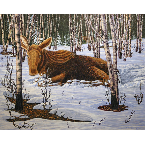 Yearling Moose - Original