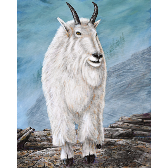Rocky Mountain Goat - Print